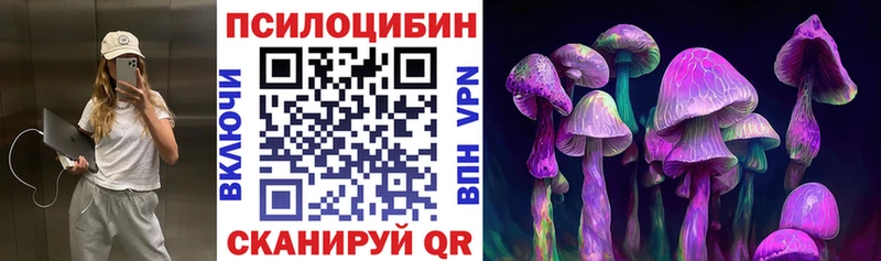 Псилоцибиновые грибы мухоморы  kraken вход  Дыгулыбгей 